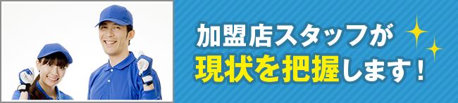 鳩が来るには理由がある！鳩に住処にされたらu2026u2026正しい駆除をしよう鳩 