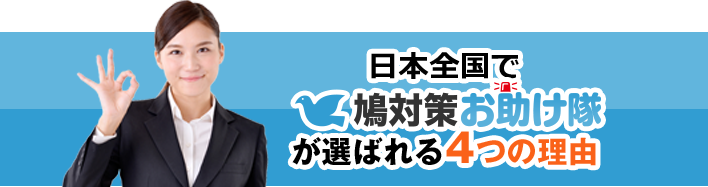 鳩駆除には明朗会計で安心 現地での見積り調査無料 鳩対策お助け隊